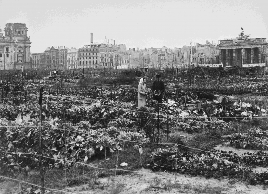 Foto von Ackeranbau vor dem Brandenburger Tor in Schwarz-Weiß